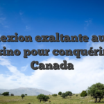 Connexion exaltante au spin casino pour conquérir le Canada