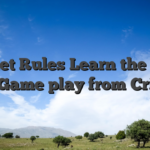 Cricket Rules Learn the Laws and Game play from Cricket