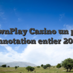 CrownPlay Casino un peu : Annotation entier 2025