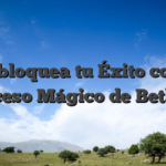 Desbloquea tu Éxito con el Acceso Mágico de Betlive