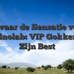 Ervaar de Sensatie van Casinolab: VIP Gokken op Zijn Best