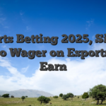 Esports Betting 2025, Simple tips to Wager on Esports and Earn