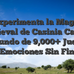 Experimenta la Magia Medieval de Casinia Casino: Un Mundo de 9,000+ Juegos y Emociones Sin Fin