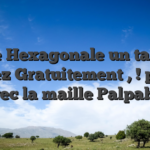 Fraise Hexagonale un tantinet Allez Gratuitement , ! pour avec la maille Palpable