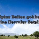 Fre Spins Buiten gokkasten online Hercules Betaling