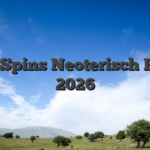 Free Spins Neoterisch Feber 2026