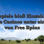 Freispiele bloß Einzahlung Beste Casinos unter einsatz von Free Spins