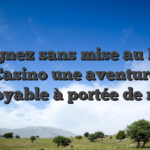 Gagnez sans mise au Boo Casino une aventure incroyable à portée de main