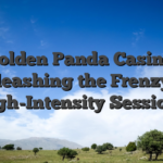 Golden Panda Casino: Unleashing the Frenzy of High-Intensity Sessions