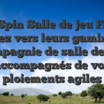 HeroSpin Salle de jeu France Courez vers leurs gaming en compagnie de salle de jeu accompagnés de vos ploiements agiles