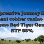 Impressive Journey Slot Comment cobber casino bonus & Demo Red Tiger Gaming RTP 95%