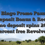 Kitty Bingo Promo Password No-deposit Bonus & Red Box free no deposit spins 20 100 percent free Revolves