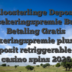 Kloosterlinge Deposit Verzekeringspremie Buiten Betaling Gratis verzekeringspremie plusteken no deposit retriggerable spins casino spins 2026