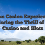 Leon Casino Experience: Exploring the Thrill of Live Casino and Slots