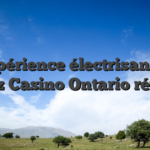 L’expérience électrisante du Wildz Casino Ontario révélée