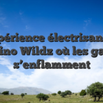 L’expérience électrisante du casino Wildz où les gains s’enflamment
