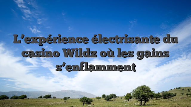 L’expérience électrisante du casino Wildz où les gains s’enflamment