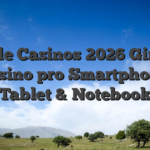 Mobile Casinos 2026 Giropay  Casino pro Smartphone, Tablet & Notebook