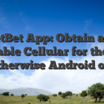 NetBet App: Obtain and Gamble Cellular for the ios otherwise Android os!
