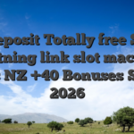 No deposit Totally free Spins lightning link slot machine tips NZ +40 Bonuses Said 2026