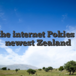 On the internet Pokies The newest Zealand