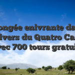 Plongée enivrante dans l’univers du Quatro Casino avec 700 tours gratuits