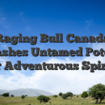 Raging Bull Canada Unleashes Untamed Potential for Adventurous Spirits