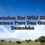 Recension Bor Wild Shark Chateau Prøv Den Gratis Demobån