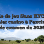 Salle de jeu Sans KYC : 17 Premier casino à l’exclusion de examen de 2026