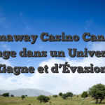 Spinaway Casino Canada Plonge dans un Univers de Gagne et d’Évasion