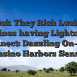 Struck They Rich Lucky88 casinos having Lightning Connect: Dazzling On-line casino Harbors Sense