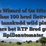 The Wizard of Oz Wicked Riches 100 bred flettverk ingen innskudd wild play alle tiders bet RTP Bred garn Spilleautomater