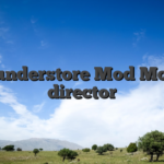 Thunderstore Mod Movie director