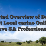 Trusted Overview of Desert Night Local casino Online to have SA Professionals