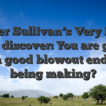 Tyler Sullivan’s Very Pan 2026 discover: You are going to a good blowout end up being making?