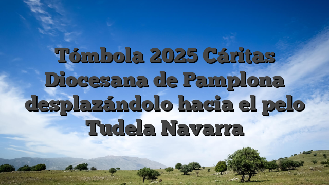 Tómbola 2025 Cáritas Diocesana de Pamplona desplazándolo hacia el pelo Tudela Navarra