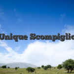 Unique Scompiglio