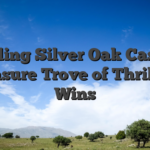 Unveiling Silver Oak Casino A Treasure Trove of Thrilling Wins
