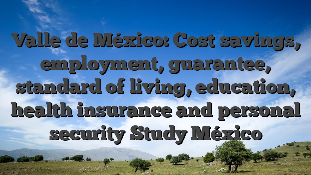 Valle de México: Cost savings, employment, guarantee, standard of living, education, health insurance and personal security Study México