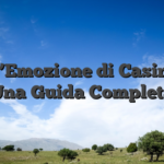 Vivi l’Emozione di Casinolab: Una Guida Completa