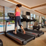 Better Safari Harbors to experience in the 2026