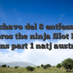 el chavo del 8 entfesselt toreros the ninja Slot Free Spins part 1 natj austrian