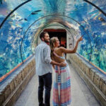 Zodiac Gambling enterprise Added bonus