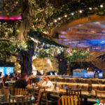 Zodiac Gambling enterprise Bonus Code 2026 80 space wars bonus game Possibilities to Win As much as $1M!