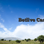 Μαγευτικές Στιγμές στο Betlive Casino με Ανεξέλεγκτο Ίχνος Τύχης