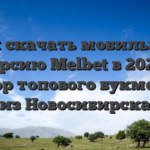 Как скачать мобильную версию Melbet в 2026: разбор топового букмекера из Новосибирска