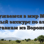 Погружаемся в мир Melbet: полный экскурс по азарту и ставкам из Воронежа