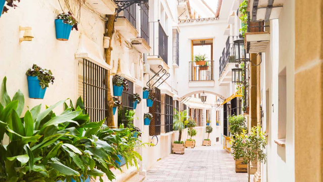 Проститутки Города Москвы особые индивидуалки Вкусные шлюхи Снять проститутку Города Москвы