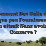 ?? Comment Des Salle de jeu Quelque peu Fournissent-eux Un attrait Sans avoir i� Conserve ?