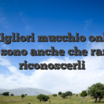 ?? Migliori mucchio online � quali sono anche che razza di riconoscerli